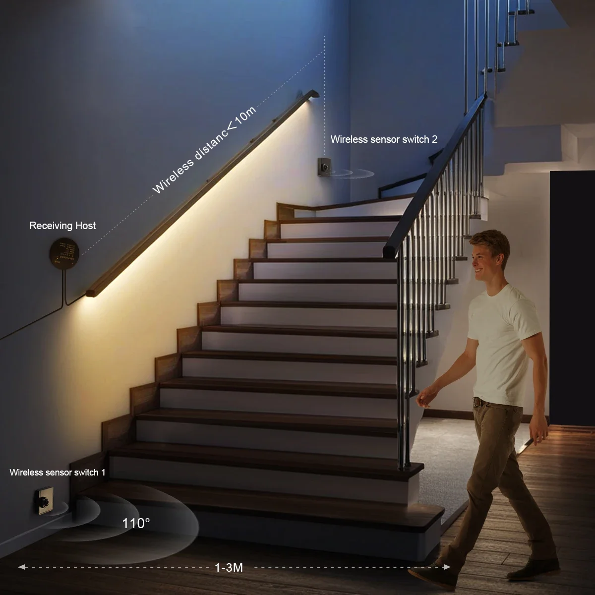 Dual Wireless Moveable PIR Mot - Ladder Toss Set recension och pris